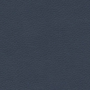 Michigan Blue