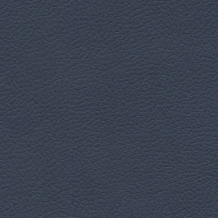 Michigan Blue