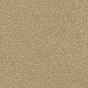 Buckskin