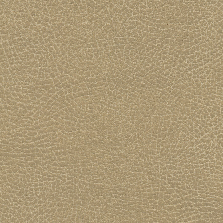 Buckskin