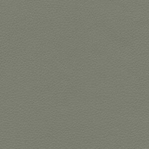 Dusty Olive