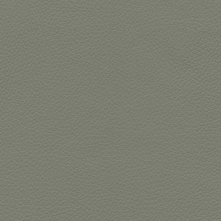 Dusty Olive