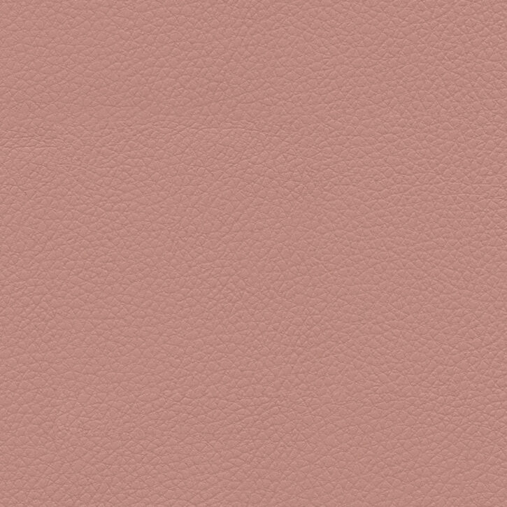 Coral Glow
