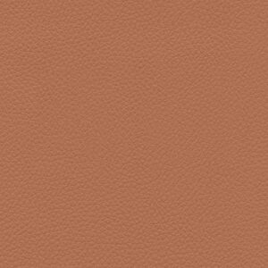 Aztec Clay