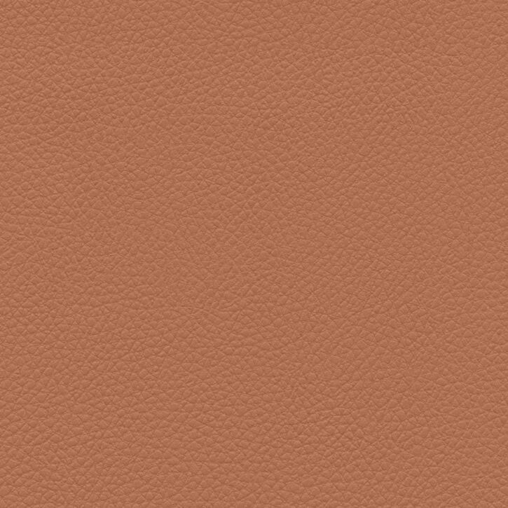 Aztec Clay