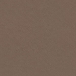 Dusty Earth