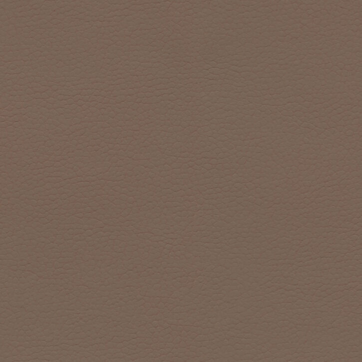 Dusty Earth