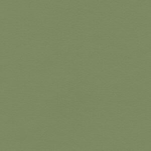 Stem Green