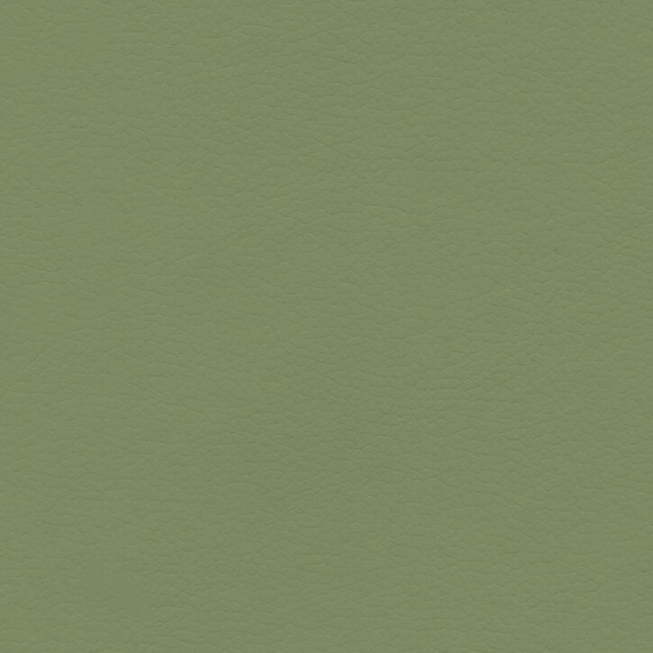 Stem Green