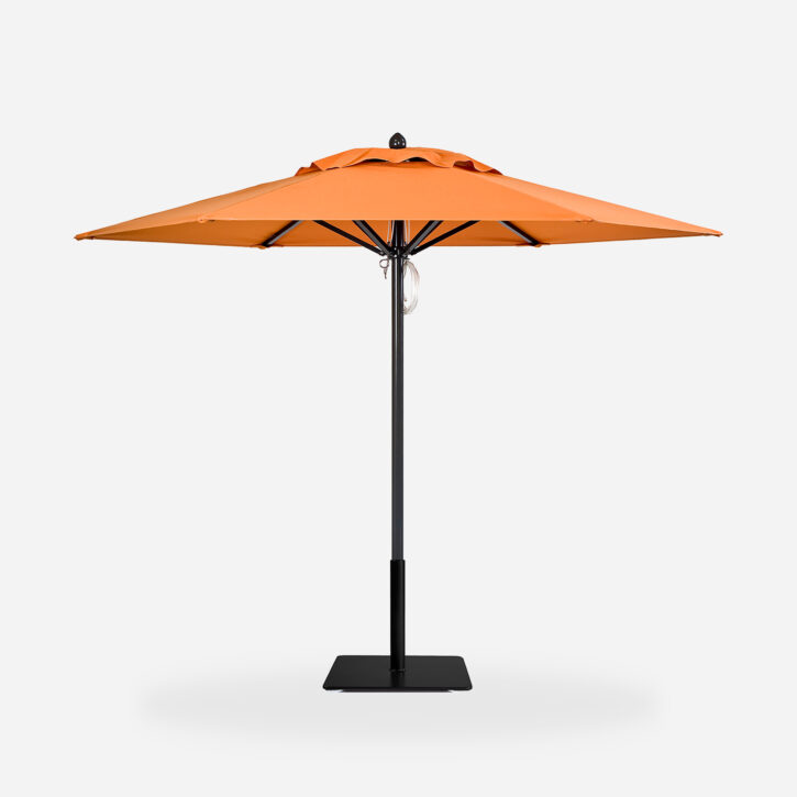 Paseo®