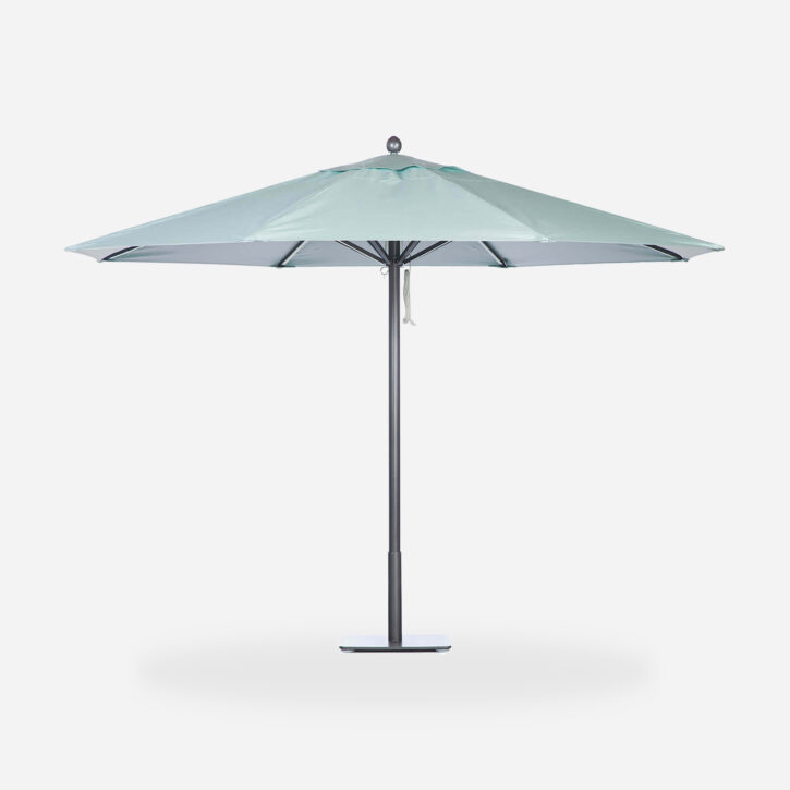 Paseo® XL
