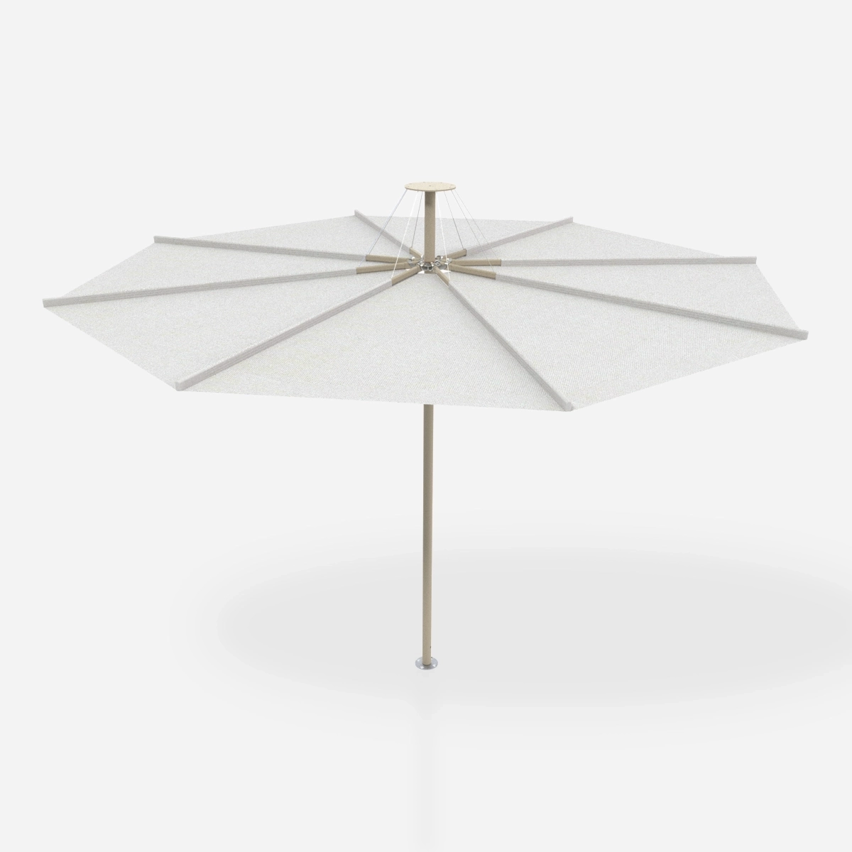 Cover image for the Umbrellas Product Type