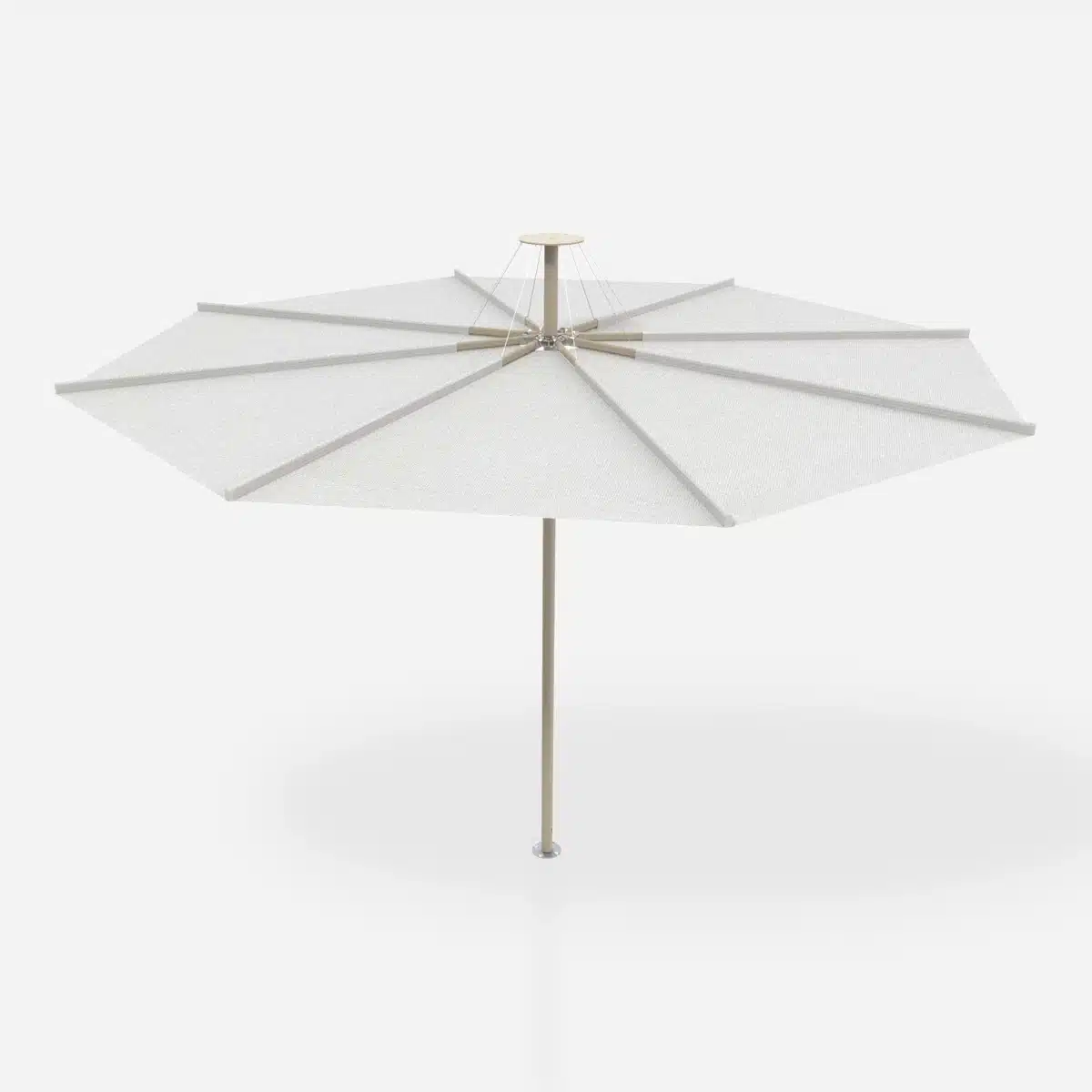 Cover image for the Umbrellas Product Type