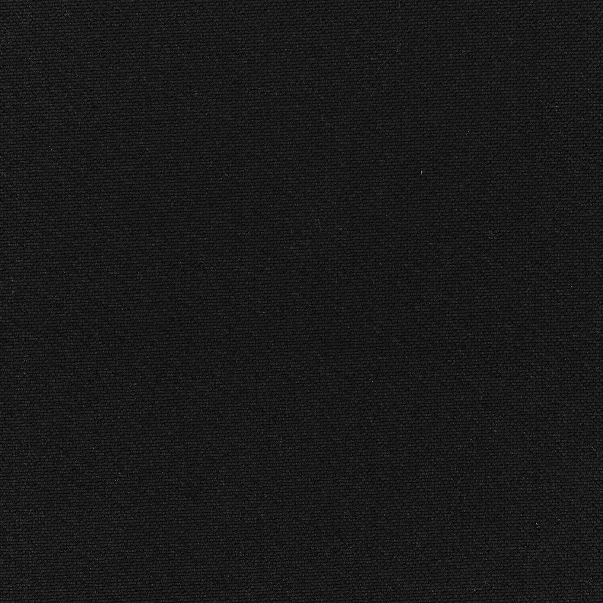 Image of Big Sur Blackout