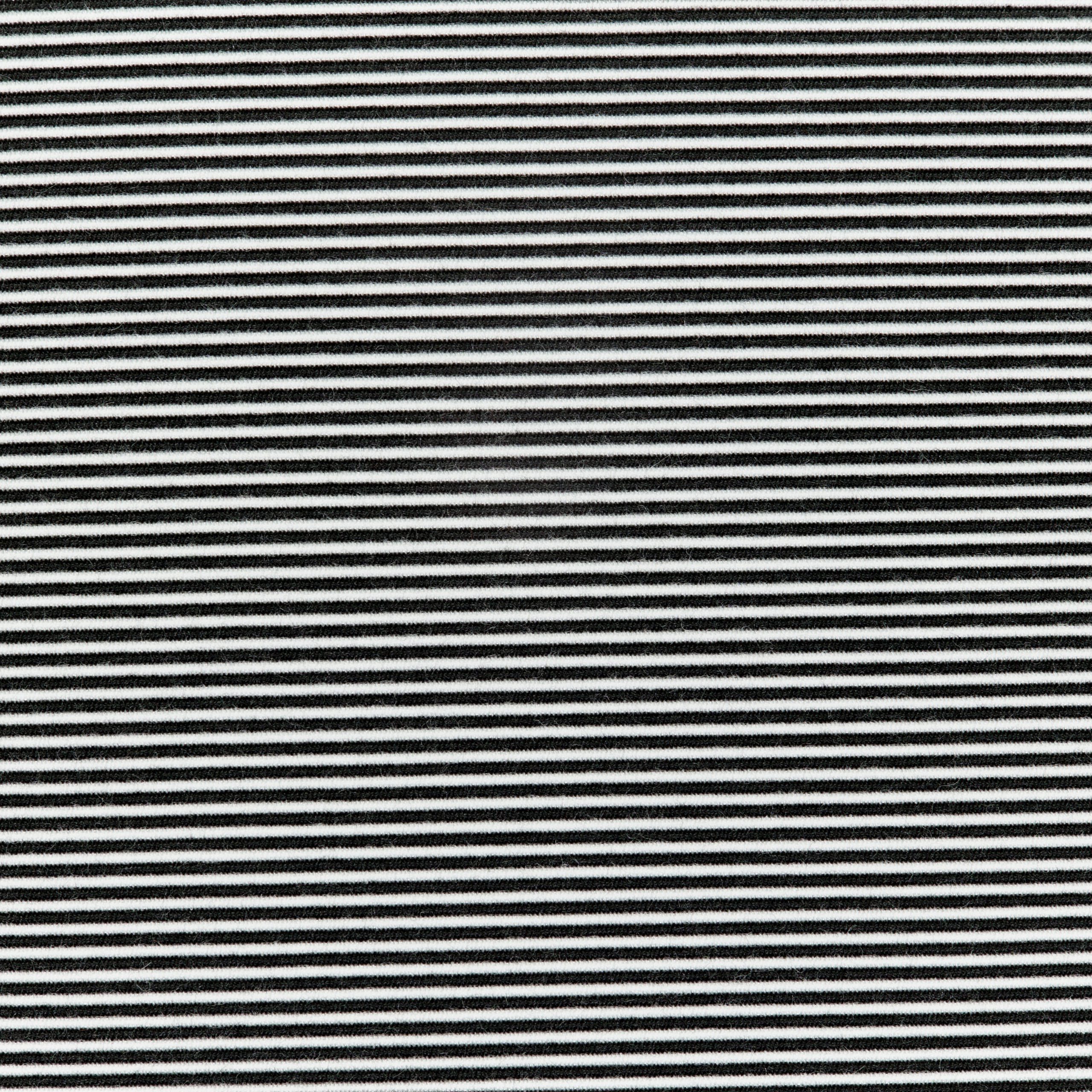 Image of Infinity Pool Zebra
